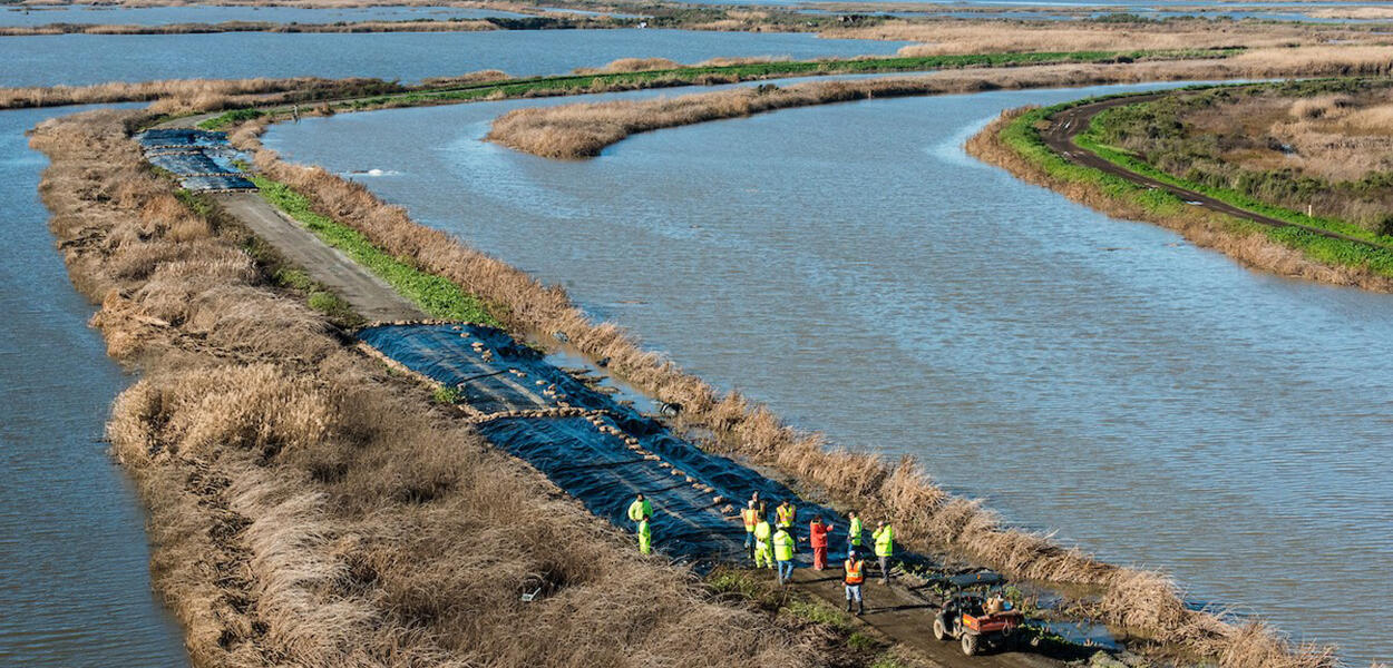 Delta levees